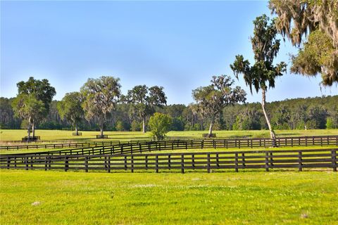 Tiny photo for 13375 W Highway 318, Williston, FL 32696 (MLS # OM692794)