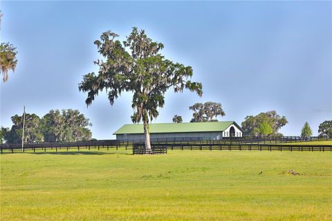 Tiny photo for 13375 W Highway 318, Williston, FL 32696 (MLS # OM692794)