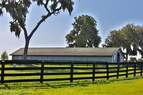 Tiny photo for 13375 W Highway 318, Williston, FL 32696 (MLS # OM692794)