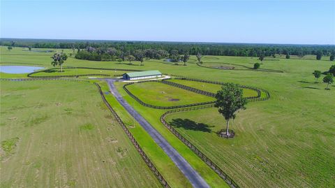 Tiny photo for 13375 W Highway 318, Williston, FL 32696 (MLS # OM692794)
