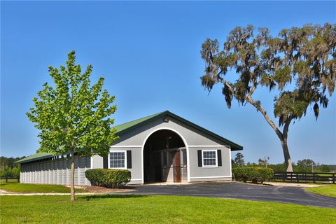 Tiny photo for 13375 W Highway 318, Williston, FL 32696 (MLS # OM692794)