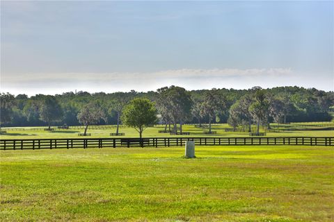 Tiny photo for 13375 W Highway 318, Williston, FL 32696 (MLS # OM692794)