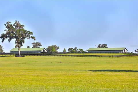 Tiny photo for 13375 W Highway 318, Williston, FL 32696 (MLS # OM692794)