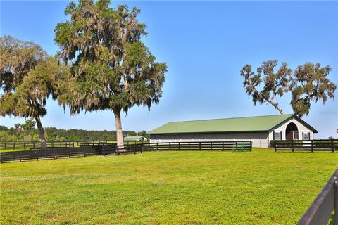 Tiny photo for 13375 W Highway 318, Williston, FL 32696 (MLS # OM692794)