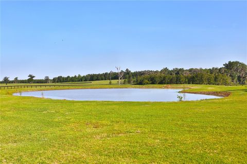 Tiny photo for 13375 W Highway 318, Williston, FL 32696 (MLS # OM692794)