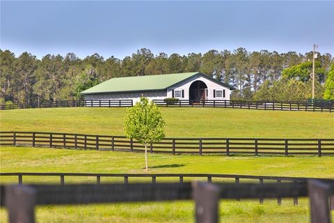 Tiny photo for 13375 W Highway 318, Williston, FL 32696 (MLS # OM692794)