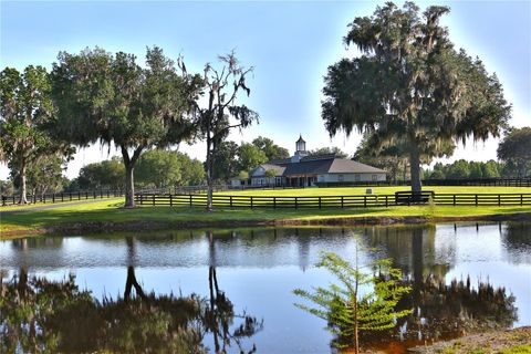 Tiny photo for 13375 W Highway 318, Williston, FL 32696 (MLS # OM692794)
