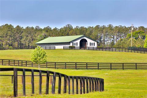 Tiny photo for 13375 W Highway 318, Williston, FL 32696 (MLS # OM692794)