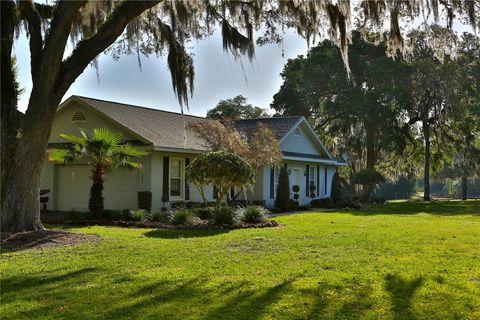 Tiny photo for 13375 W Highway 318, Williston, FL 32696 (MLS # OM692794)
