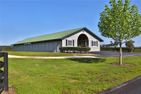 Tiny photo for 13375 W Highway 318, Williston, FL 32696 (MLS # OM692794)