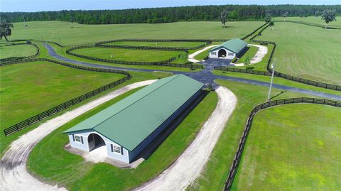 Tiny photo for 13375 W Highway 318, Williston, FL 32696 (MLS # OM692794)