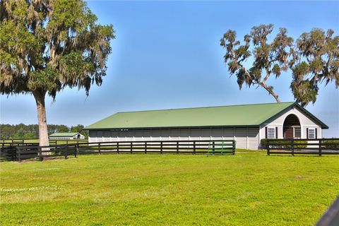 Tiny photo for 13375 W Highway 318, Williston, FL 32696 (MLS # OM692794)