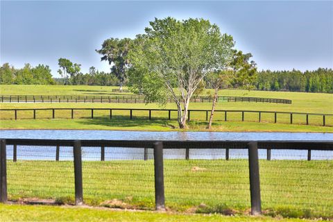 Tiny photo for 13375 W Highway 318, Williston, FL 32696 (MLS # OM692794)