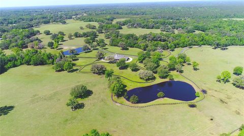 Tiny photo for 13375 W Highway 318, Williston, FL 32696 (MLS # OM692794)