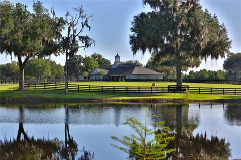 Tiny photo for 13375 W Highway 318, Williston, FL 32696 (MLS # OM692794)