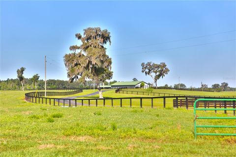 Tiny photo for 13375 W Highway 318, Williston, FL 32696 (MLS # OM692794)
