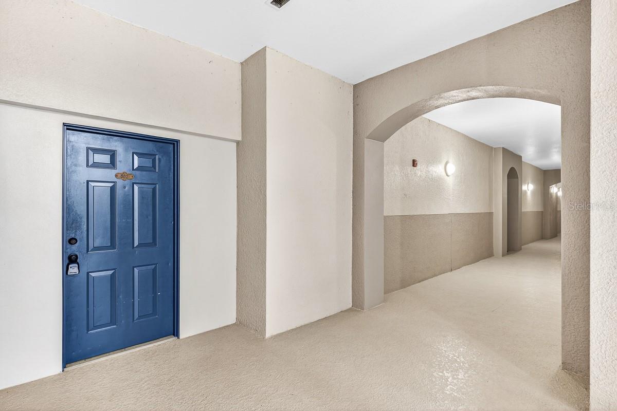 3025 GREYSTONE LOOP 207