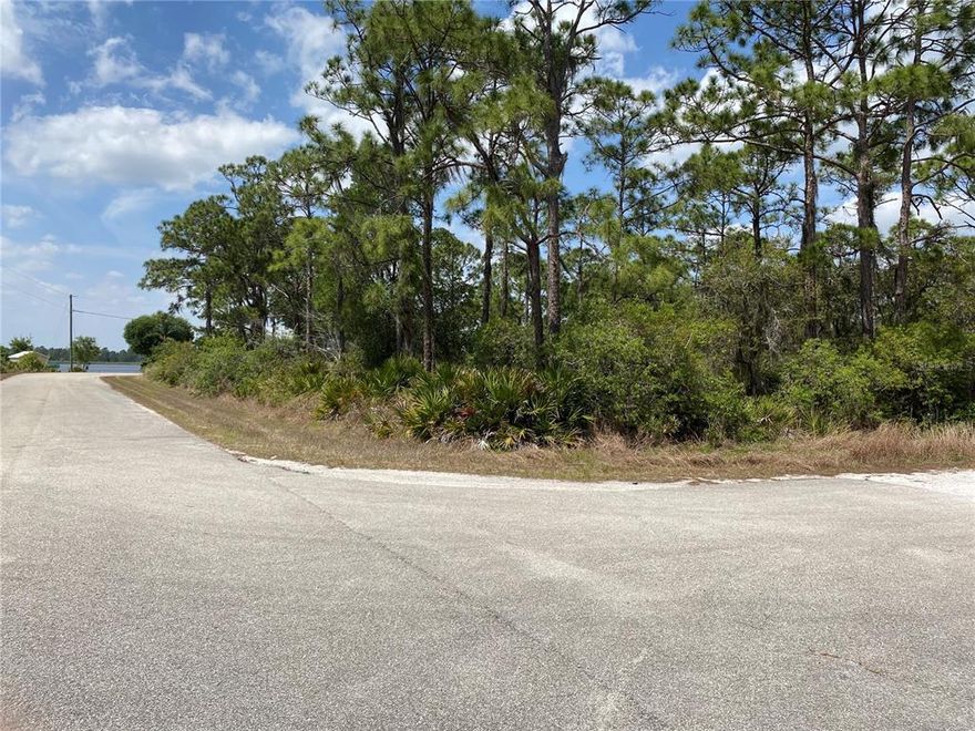 Lake View Lot for Sale! This wonderful residential corner lot is a great place to build your dream home. It's just a minute walk to Lake Crews. The most popular species caught here are Largemouth bass, Black crappie, and Striped bass. (source: Fishbrain). The lot is 80ft frontage and 125ft depth, approximately 10,000sqft. Call us now for offers!