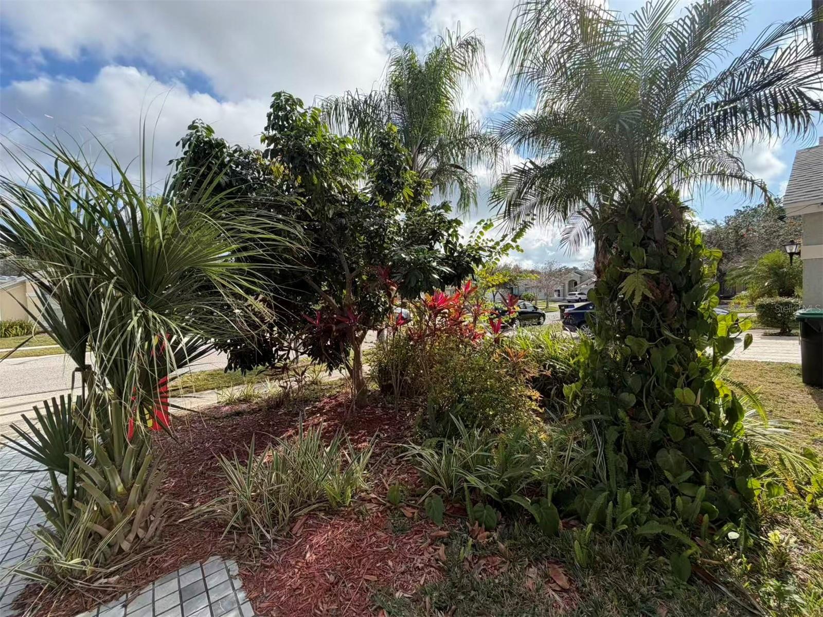 12634 RINGWOOD AVENUE