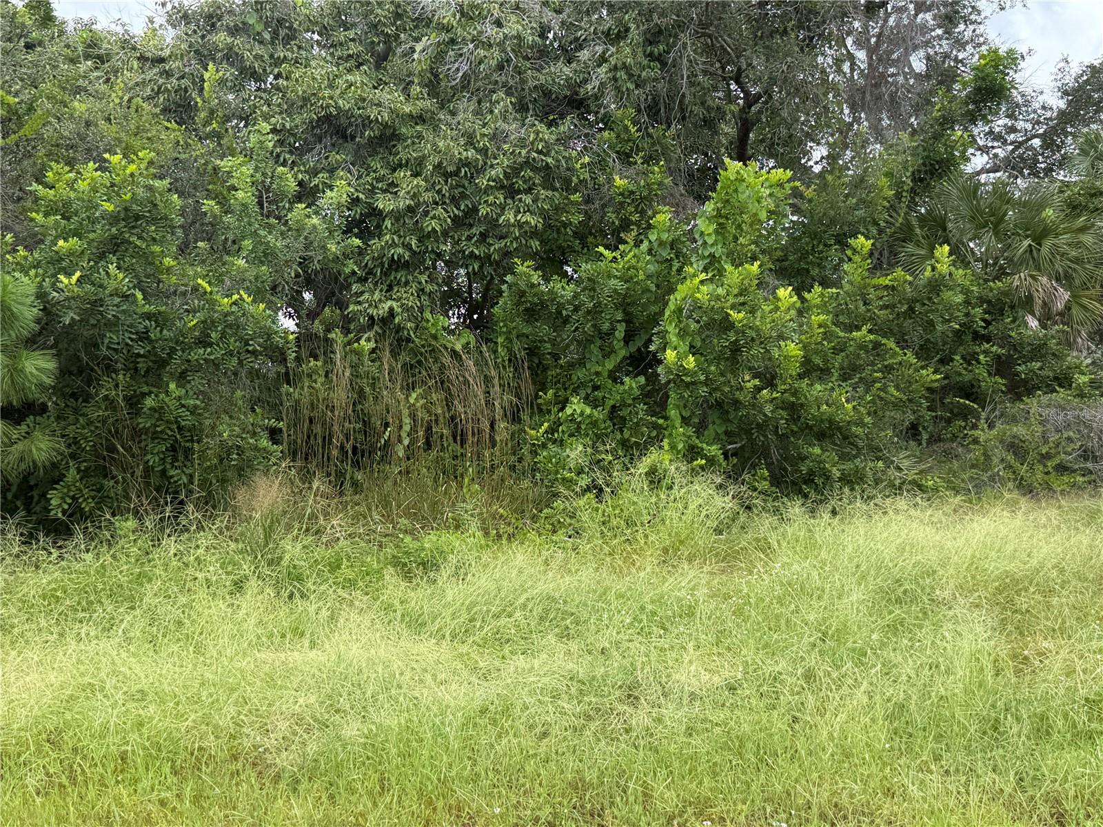 Rare Opportunity Near the Coast!
This unique street-to-street parcel offers endless potential just minutes from the beach, local restaurants, and shopping. With 120 feet of road frontage and 164 feet of depth, the property stretches from Andrews Street to North Lane, providing versatile building options.
Design your dream home with the flexibility to place your residence on either road and enjoy a pool and garage on the opposite side, or simply maintain the natural wooded backdrop for privacy.
Don’t miss out on this exceptional parcel at an incredible value—opportunities like this are rare!