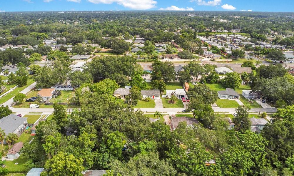 TEMPLE TERRACE ANNEX - Residential