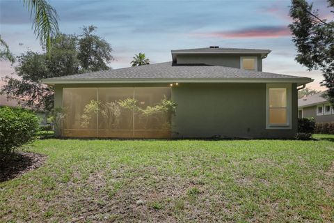 A home in TAMPA