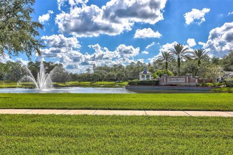 A home in TAMPA