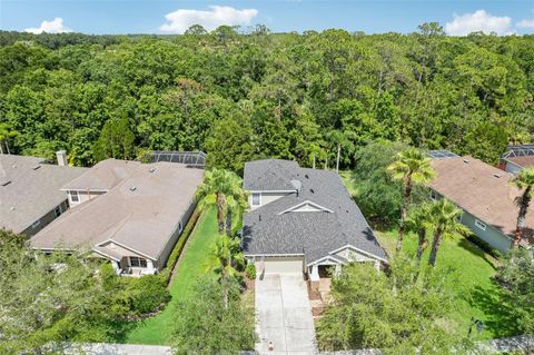 A home in TAMPA