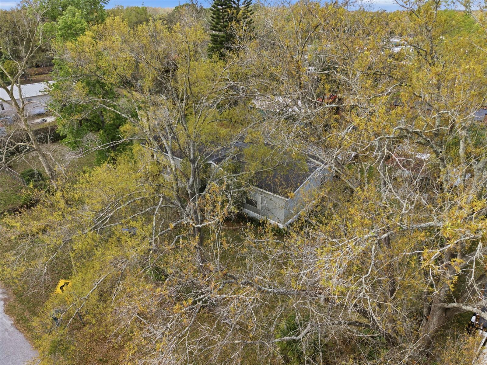NORTH END TERRACE - Land