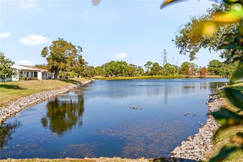 A home in PINELLAS PARK