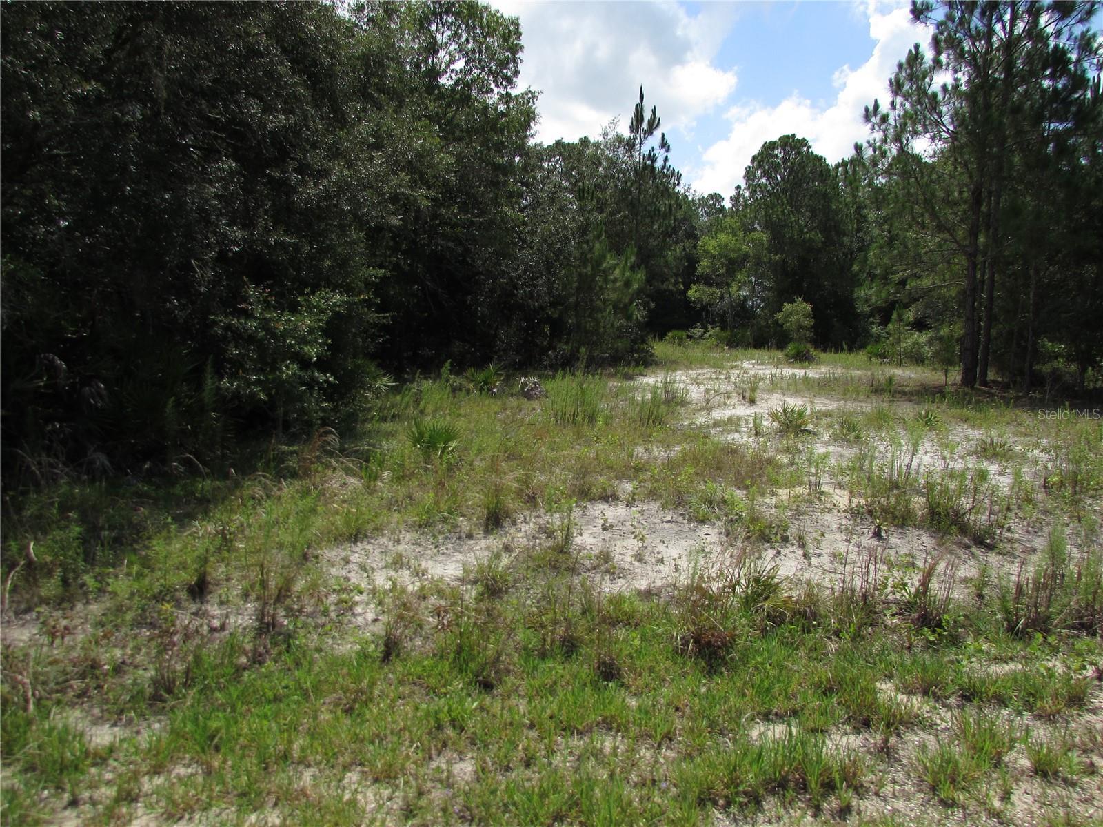 Lot 13 SW SOUTH HAVEN COURT

                                                                             DUNNELLON                                

                                    , FL - $12,000