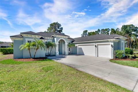 12030 EAGLE POINT COURT LEESBURG FL 34788