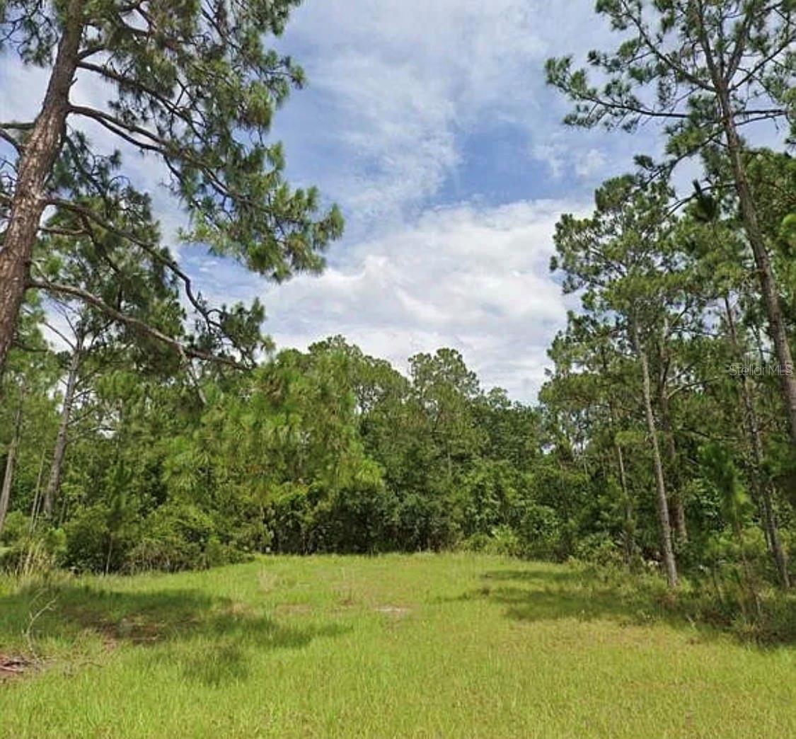 7143 OAK GLEN TRAIL