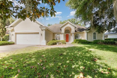 A home in EUSTIS