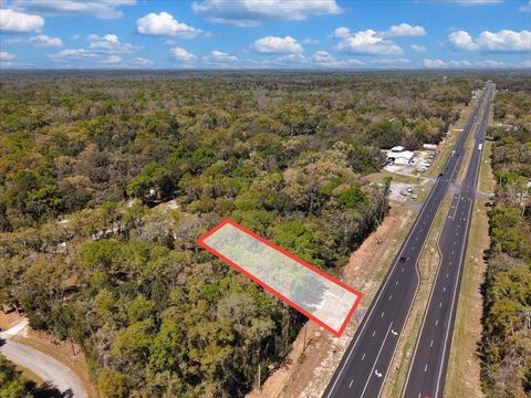 Tiny photo for 16648 NW Us Highway 19, Trenton, FL 32693 (MLS # W7884114)