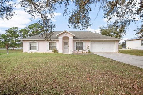 A home in DELTONA