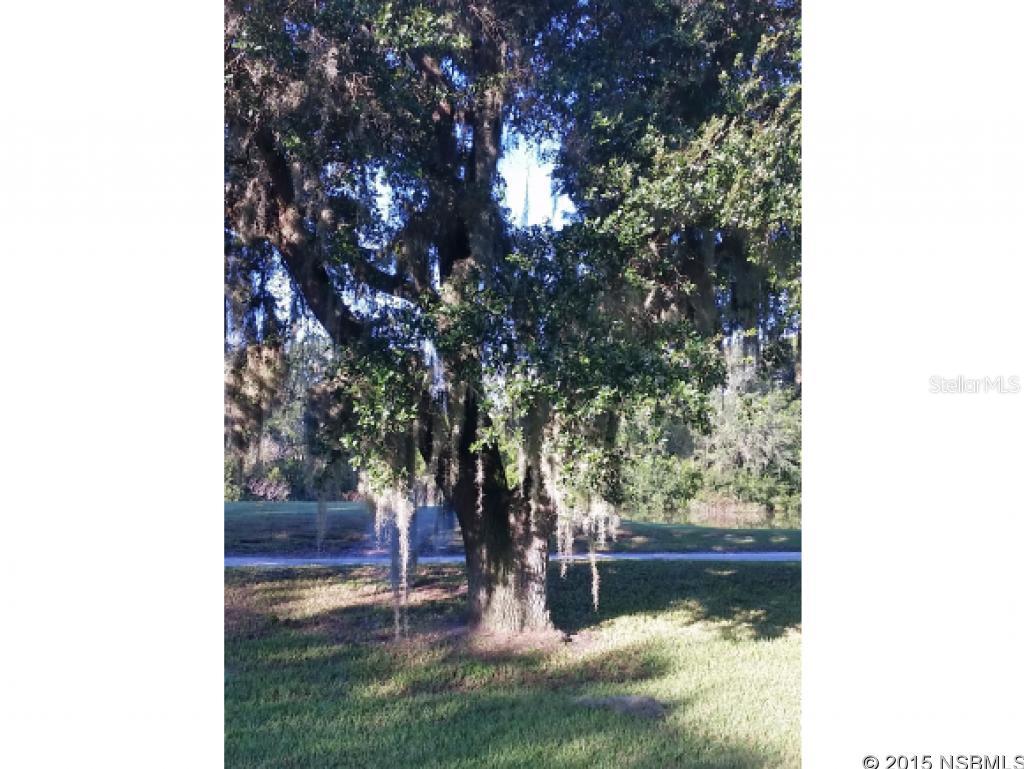 Residences At Turnbull Bay - Residential