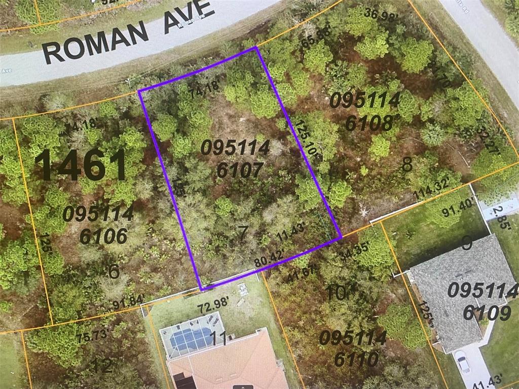 Great building lot for your new home!. Rural setting close to Tamiami Trail with shopping and restaurants. The Myakkahatchee park is nearby. Warm Mineral Springs is a short drive. So is the Myakka River and the Garden of The Five Senses. Quick access to I-75. NOT IN FLOOD ZONE. NO CDD OR HOA.
