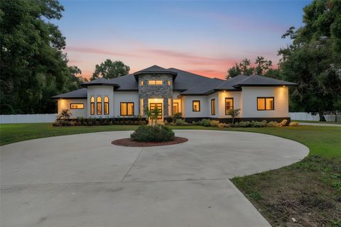 Photo of 28536 Tupper Road, Wesley Chapel, FL 33545 (MLS # W7879413)