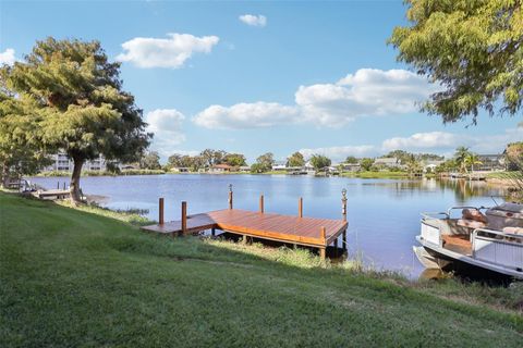 A home in KISSIMMEE