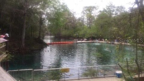 Tiny photo for 17416 NW 89th Terrace, Fanning Springs, FL 32693 (MLS # GC541176)