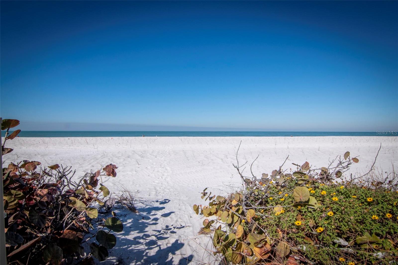 CHATEAU CONDO THE - Residential