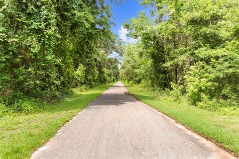Tiny photo for 7625 S Annie Terrace, Floral City, FL 34436 (MLS # TB8542727)