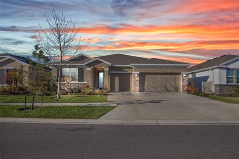 32289 CONCHSHELL SAIL STREET WESLEY CHAPEL FL 33545