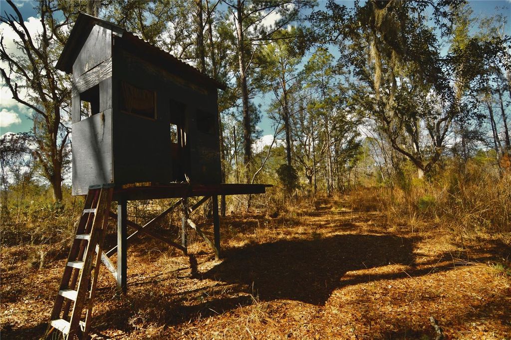 Photo of 00 NW 89th Avenue, Lake Butler, FL 32054 (MLS # OM720354)