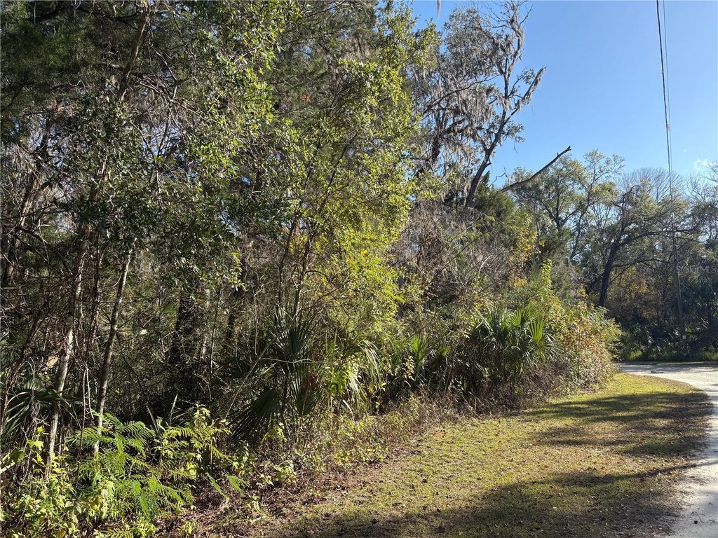 Photo of 399 S Dew Plant Point, Crystal River, FL 34429 (MLS # TB8456499)
