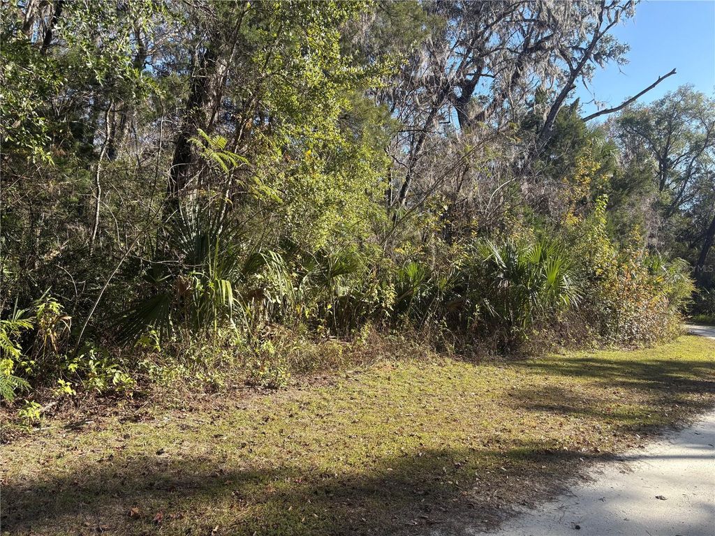 Photo of 399 S Dew Plant Point, Crystal River, FL 34429 (MLS # TB8456499)