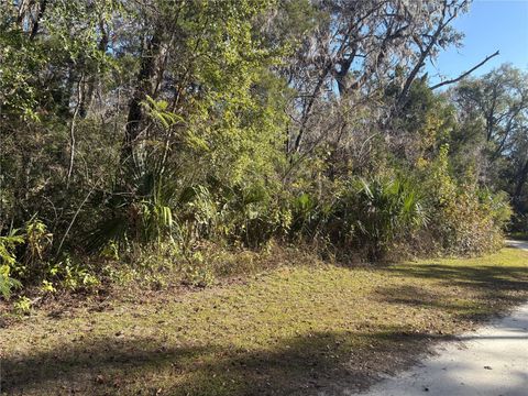 Photo of 399 S Dew Plant Point, Crystal River, FL 34429 (MLS # TB8456499)