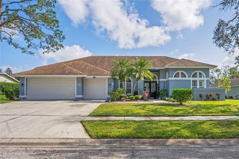 A home in ZEPHYRHILLS