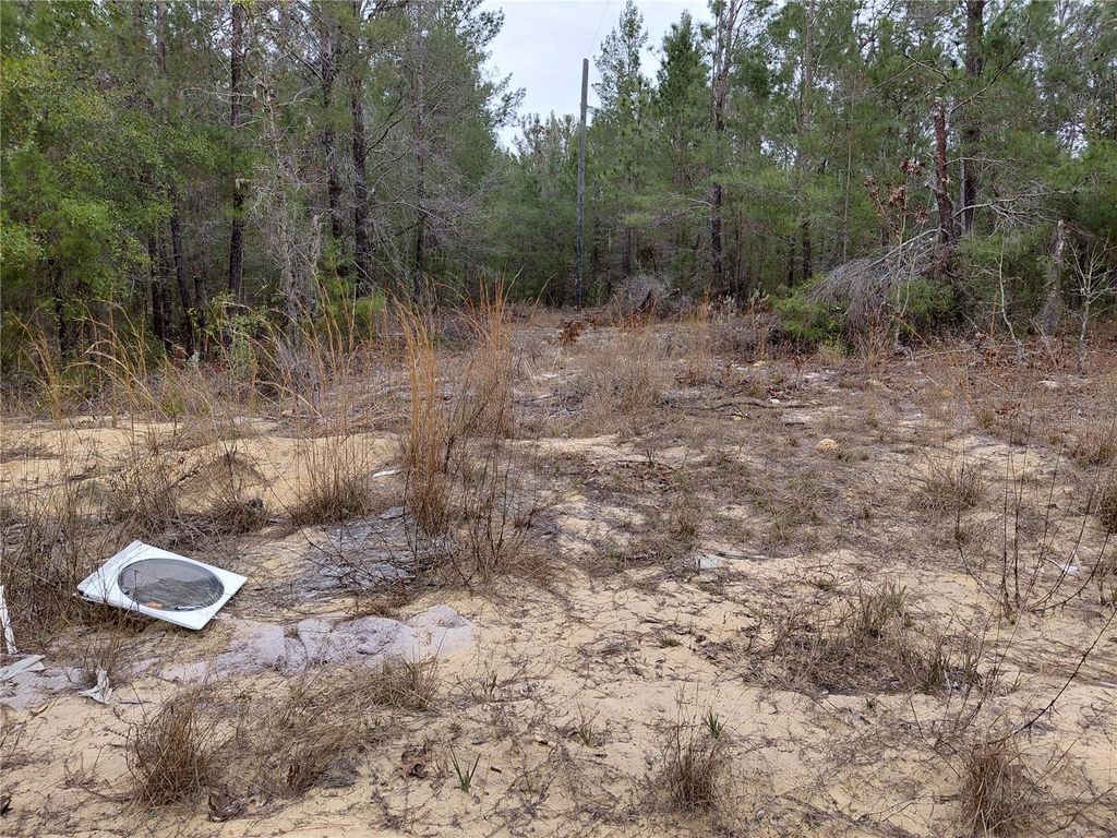 Photo of 0 Oak Terrace, Interlachen, FL 32148 (MLS # GC537370)